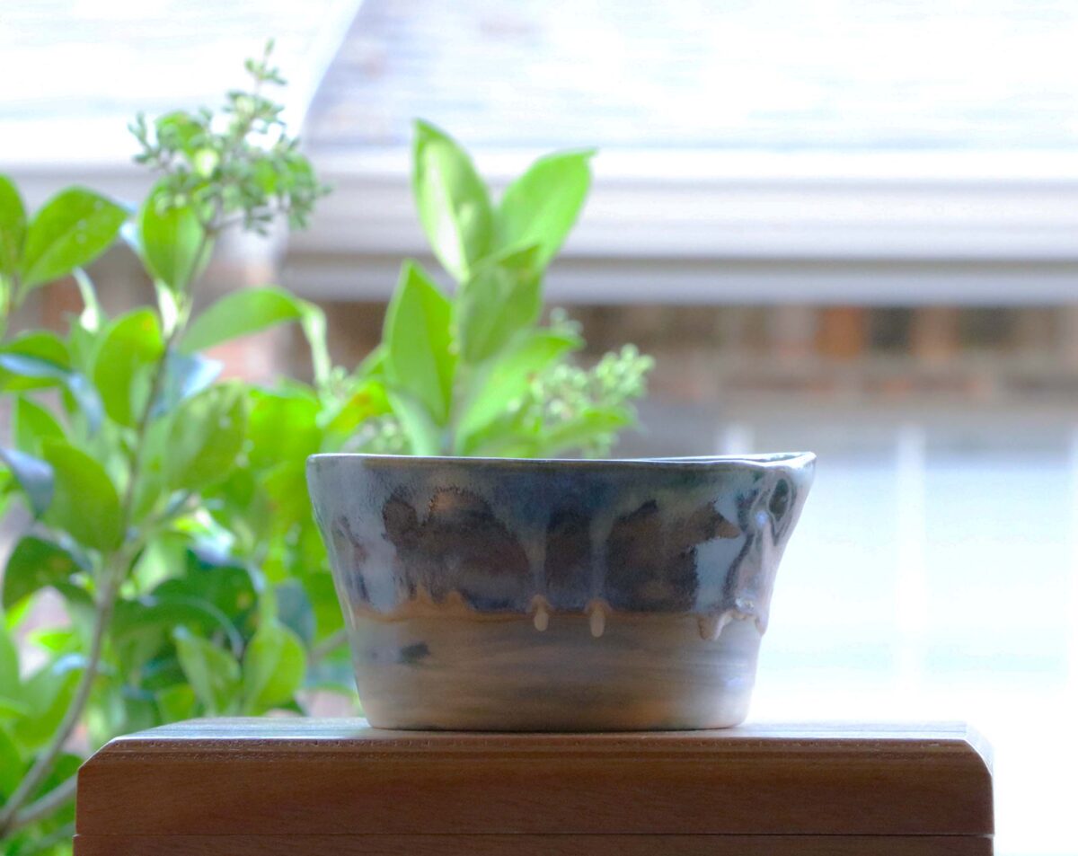 Blue Bowl
