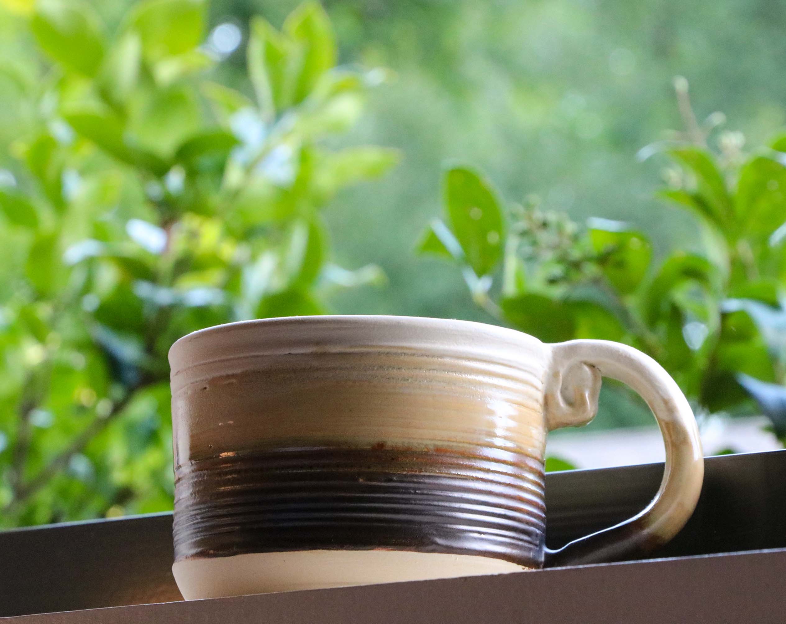 Brown Mug
